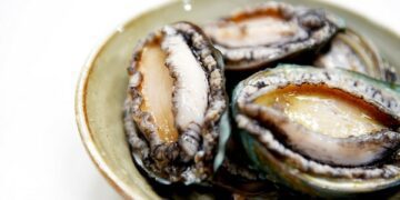 [대한건강의료신문]-원기를-회복시켜주는-바다의-산삼,-전복의-효능