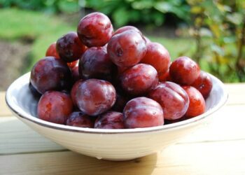 [대한건강의료신문]-더운-여름,-7월-제철-과일로-수분-보충하자!