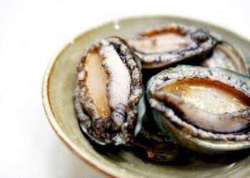 [대한건강의료신문]-원기를-회복시켜주는-바다의-산삼,-전복의-효능