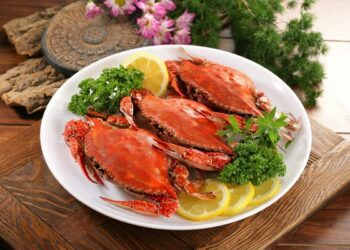 [대한건강의료신문]-바다의-보약